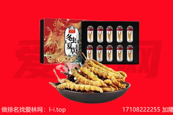 揭阳回收虫草.jpg